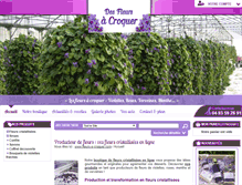 Tablet Screenshot of fleurs-a-croquer.com